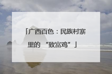 广西百色：民族村寨里的 “致富鸡”