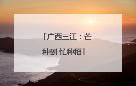 广西三江：芒种到 忙种稻