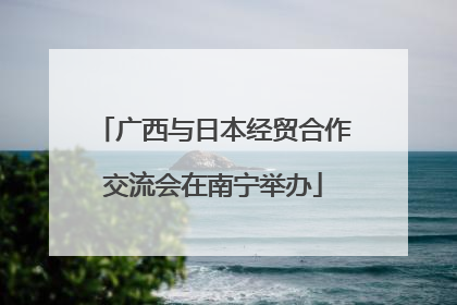广西与日本经贸合作交流会在南宁举办