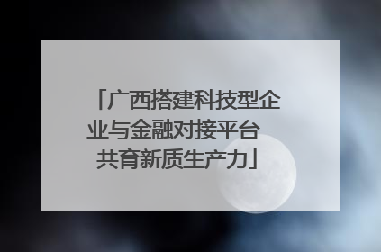 广西搭建科技型企业与金融对接平台 共育新质生产力