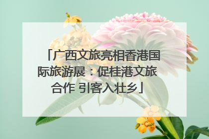 广西文旅亮相香港国际旅游展：促桂港文旅合作 引客入壮乡