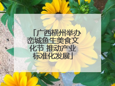 广西横州举办峦城鱼生美食文化节 推动产业标准化发展