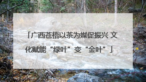 广西苍梧以茶为媒促振兴 文化赋能“绿叶”变“金叶”