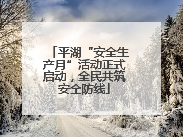 平湖“安全生产月”活动正式启动，全民共筑安全防线