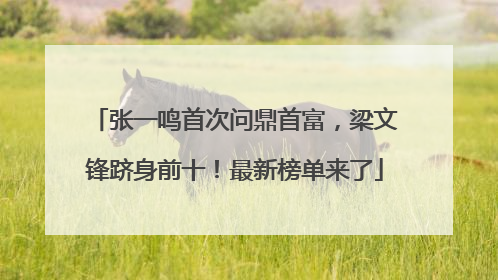 张一鸣首次问鼎首富，梁文锋跻身前十！最新榜单来了