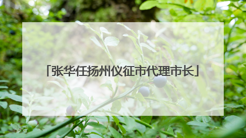 张华任扬州仪征市代理市长