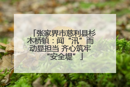 张家界市慈利县杉木桥镇：闻“汛”而动显担当 齐心筑牢“安全堤”