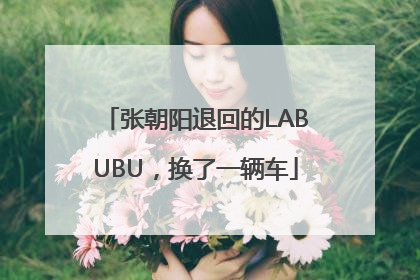 张朝阳退回的LABUBU，换了一辆车