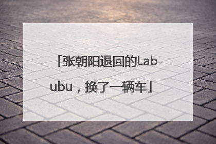 张朝阳退回的Labubu，换了一辆车