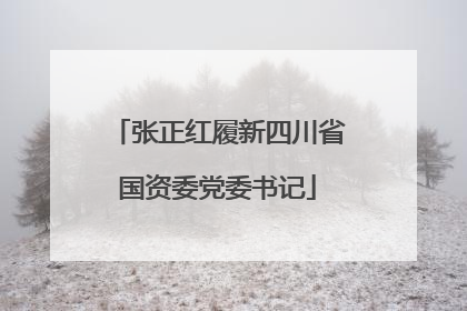 张正红履新四川省国资委党委书记