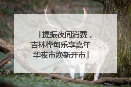 提振夜间消费，吉林桦甸乐享嘉年华夜市焕新开市