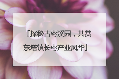 探秘古枣溪园，共赏东塔镇长枣产业风华