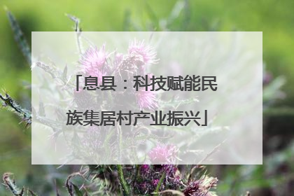 息县：科技赋能民族集居村产业振兴