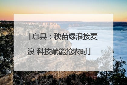 息县：秧苗绿浪接麦浪 科技赋能抢农时