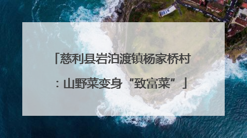 慈利县岩泊渡镇杨家桥村：山野菜变身“致富菜”