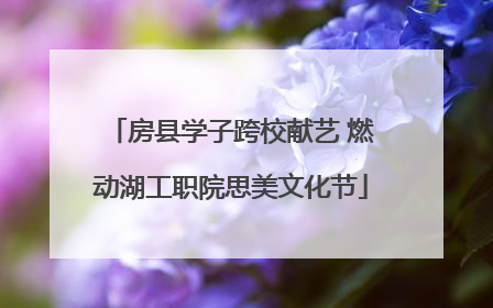 房县学子跨校献艺 燃动湖工职院思美文化节