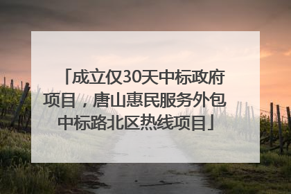 成立仅30天中标政府项目，唐山惠民服务外包中标路北区热线项目