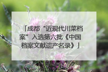 成都“近现代川菜档案”入选第六批《中国档案文献遗产名录》