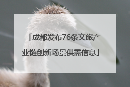 成都发布76条文旅产业链创新场景供需信息