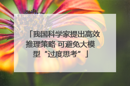 我国科学家提出高效推理策略 可避免大模型“过度思考”