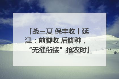 战三夏 保丰收丨延津：前脚收 后脚种，“无缝衔接”抢农时