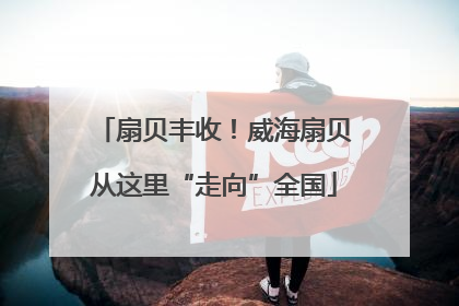 扇贝丰收！威海扇贝从这里“走向”全国