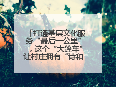 打通基层文化服务“最后一公里”，这个“大篷车”让村庄拥有“诗和远方”