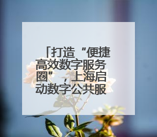 打造“便捷高效数字服务圈”，上海启动数字公共服务体系建设