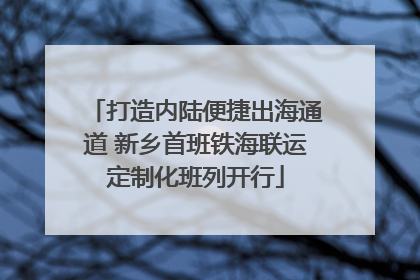 打造内陆便捷出海通道 新乡首班铁海联运定制化班列开行