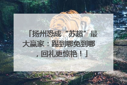 扬州恐成“苏超”最大赢家：踢到哪免到哪，回礼更惊艳！