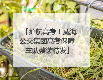 护航高考！威海公交集团高考保障车队整装待发