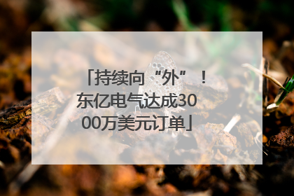 持续向“外”！东亿电气达成3000万美元订单