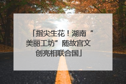 指尖生花！湖南“美丽工坊”随故宫文创亮相联合国