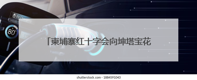 柬埔寨红十字会向坤塔宝花基金会捐赠100万美元