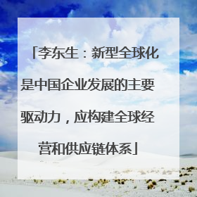 李东生：新型全球化是中国企业发展的主要驱动力，应构建全球经营和供应链体系
