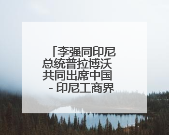 李强同印尼总统普拉博沃共同出席中国－印尼工商界晚宴并致辞