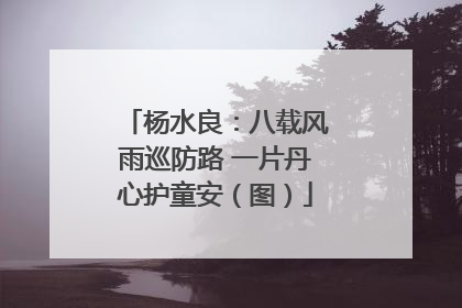杨水良：八载风雨巡防路 一片丹心护童安（图）
