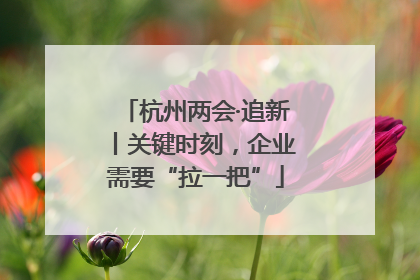杭州两会·追新丨关键时刻，企业需要“拉一把”