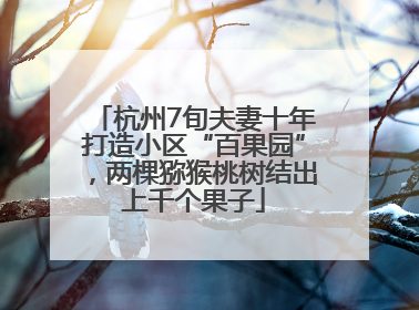 杭州7旬夫妻十年打造小区“百果园”，两棵猕猴桃树结出上千个果子