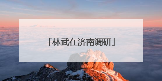 林武在济南调研
