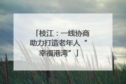 枝江：一线协商助力打造老年人“幸福港湾”