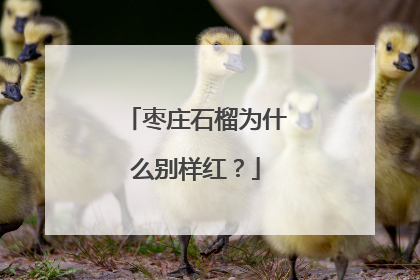 枣庄石榴为什么别样红？