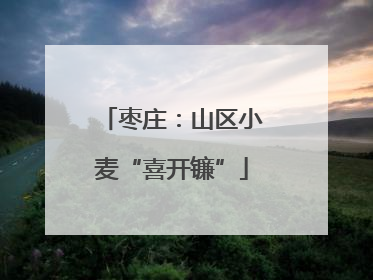 枣庄：山区小麦“喜开镰”