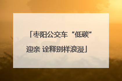 枣阳公交车“低碳”迎亲 诠释别样浪漫