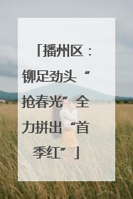 播州区：铆足劲头“抢春光”全力拼出“首季红”