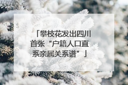 攀枝花发出四川首张“户籍人口直系亲属关系谱”
