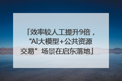 效率较人工提升9倍，“AI大模型+公共资源交易”场景在启东落地