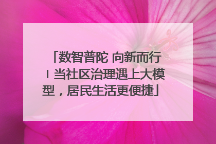 数智普陀 向新而行〡当社区治理遇上大模型，居民生活更便捷