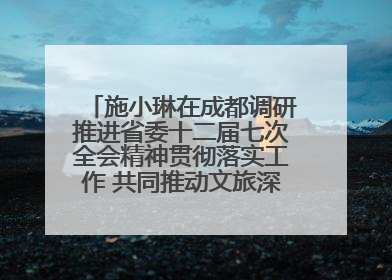 施小琳在成都调研推进省委十二届七次全会精神贯彻落实工作 共同推动文旅深度融合高质量发展 加快打造支柱产业民生产业幸福产业
