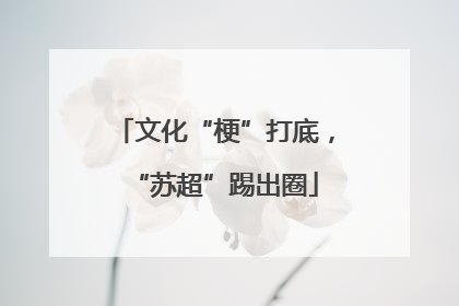 文化“梗”打底，“苏超”踢出圈